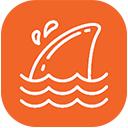 飞鲨壁纸安卓版