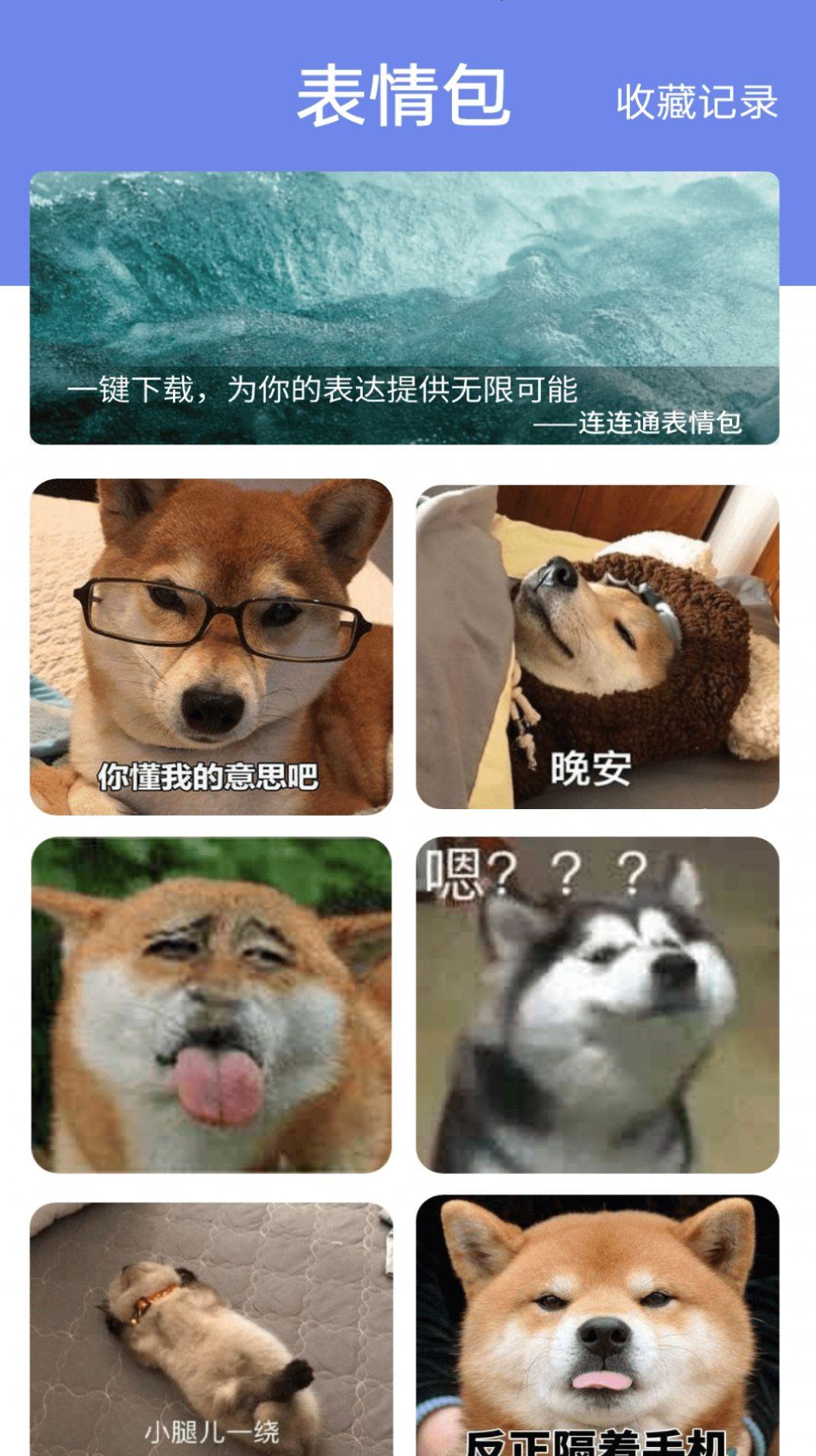 WiFi连连通软件官方下载图片1