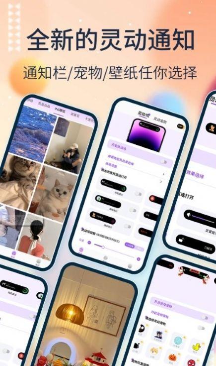 多多灵动组件软件官方下载图片1
