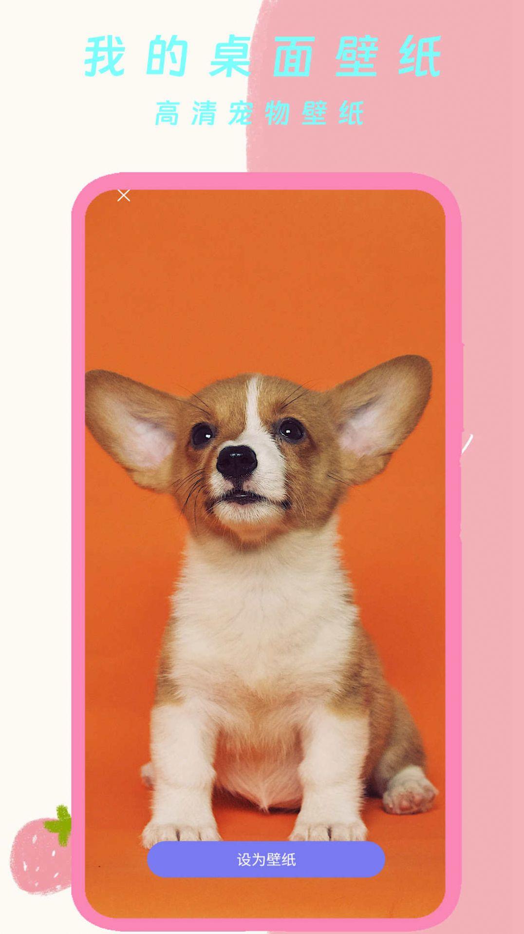 我的桌面壁纸高清版手机版下载 v1.0 v5.4.2