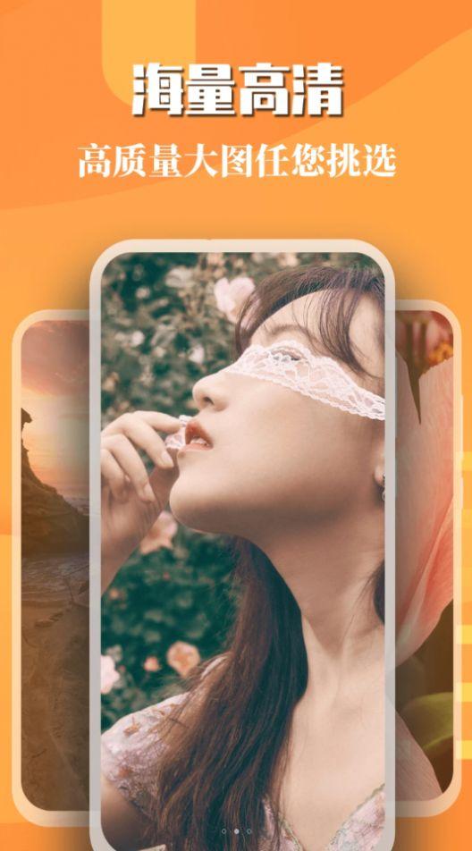 免费主题壁纸精灵软件安卓版下载 v1.14 v3.2.3