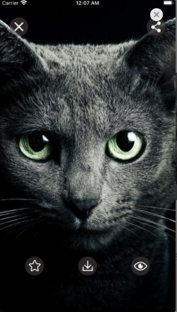 高清壁纸库app安卓下载 v1.0 v5.1.3