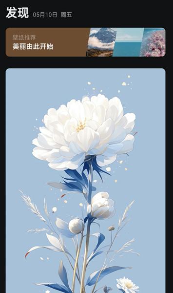 阿讦壁纸app高清版下载 v1.0.1 v4.4.2