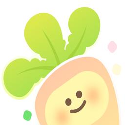 甜萝插件官方正版安装