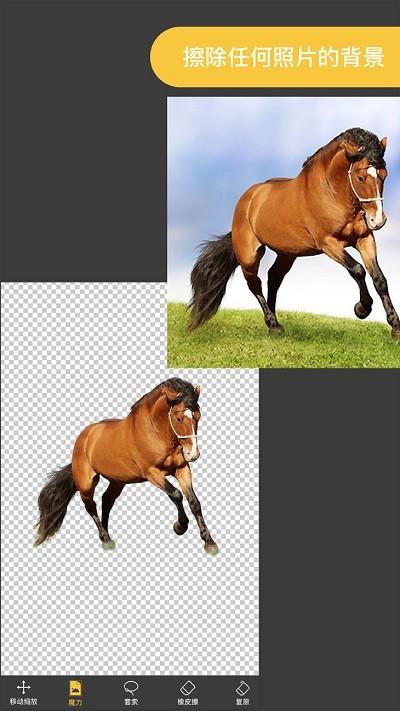 Knockout智能抠图P图手机版 v4.2.4