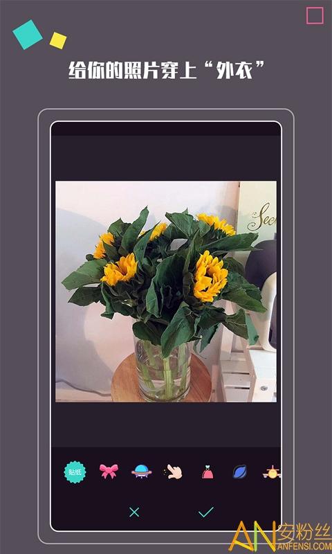 拍照大咖app官方最新版 v4.2.3