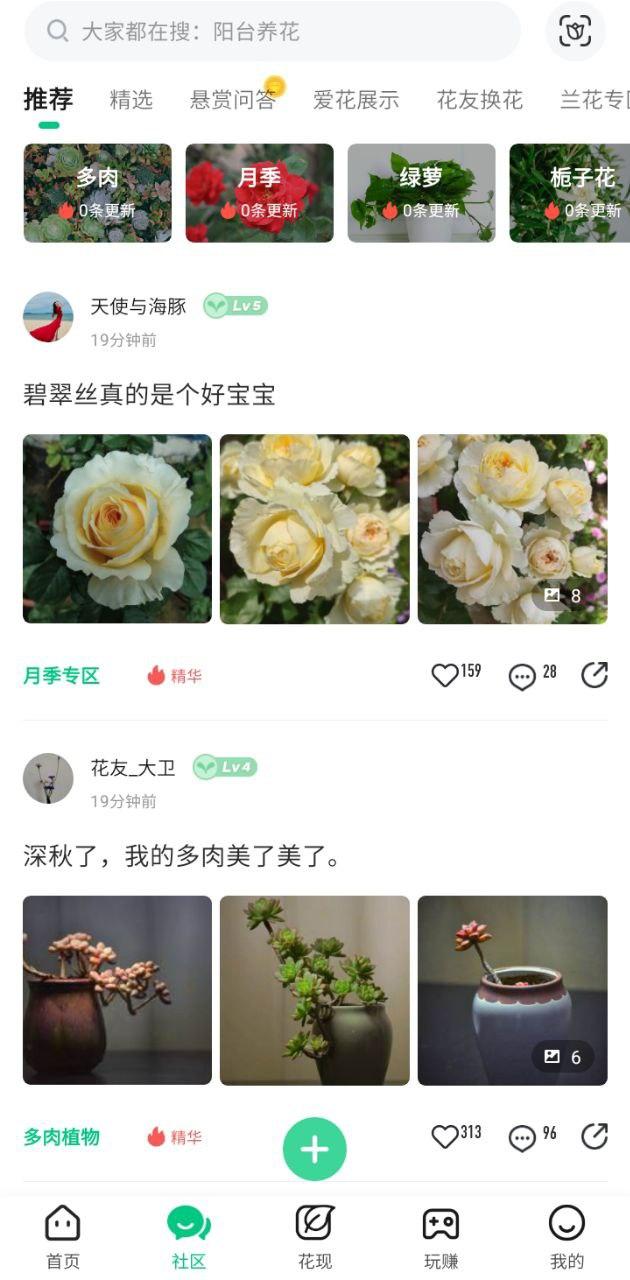养花大全