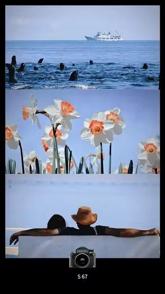 dazzccd相机软件 v5.3.3