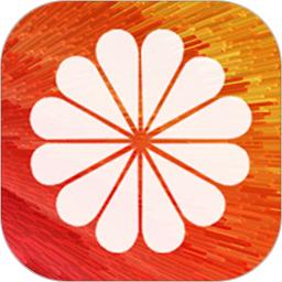 全局动态壁纸app免费(diy壁纸)