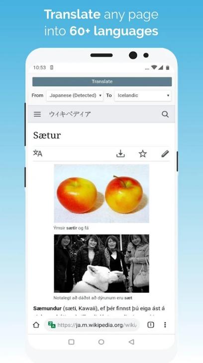 kiwi浏览器Kiwi Browser安卓版v139.0.7339.0 最新版 v5.5.1