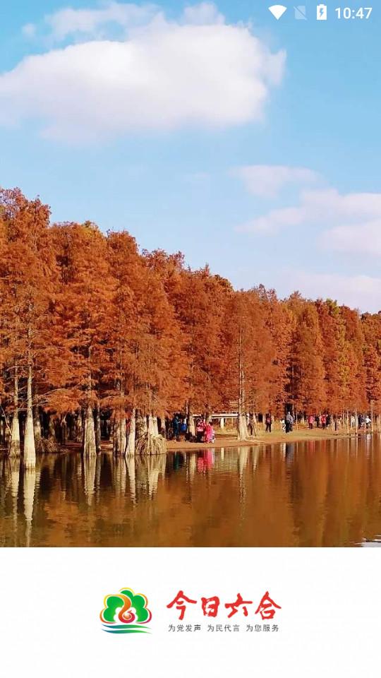 今日六合app6.5.29 官方版 v6.3.3