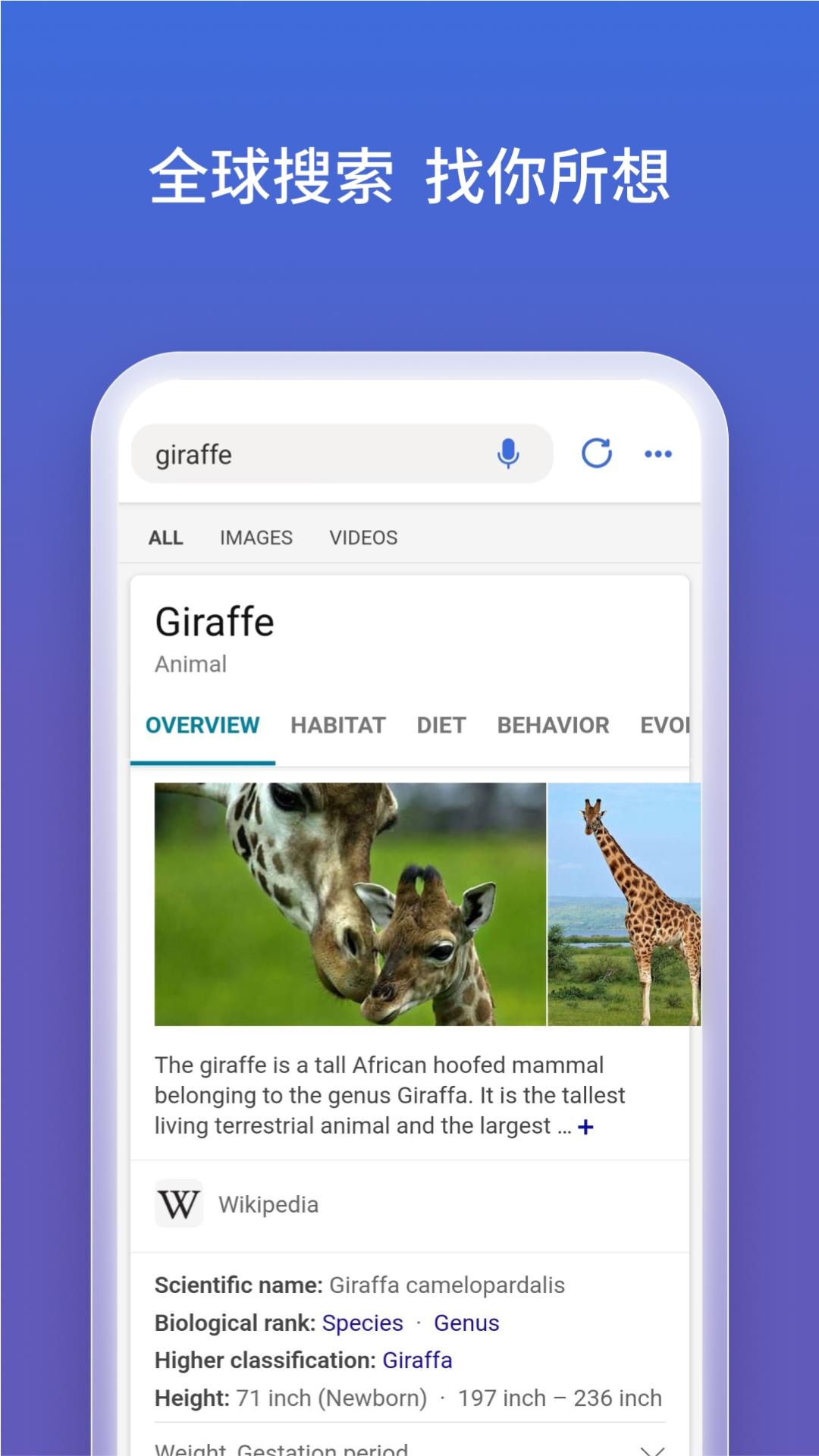 微软必应官方版国内版v31.4.2110003555手机版 v4.4.3