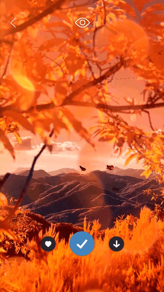 皮卡超级壁纸app免费版v1.4.8 安卓手机版 v4.2.2