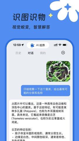 AI视界 v4.1.4