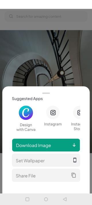 Pexels安卓中文版