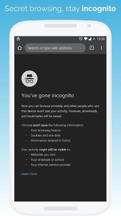 kiwi浏览器Kiwi Browser安卓版v139.0.7339.0 最新版 v5.5.1