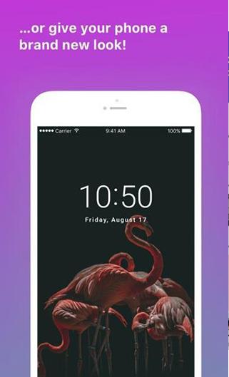 Pexels安卓中文版