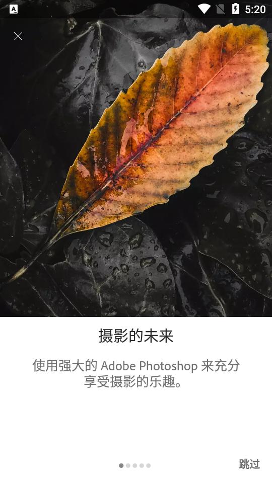 Adobe Lightroom手机版高级免费版v10.5.0 免费登录最新版 v5.5.1