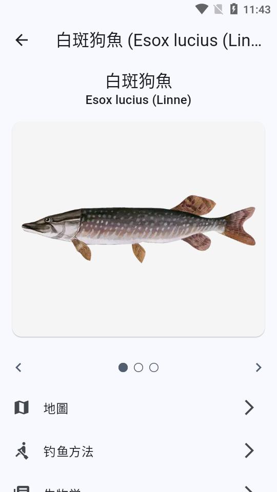 鱼星球app安卓手机版v9.29.83 最新高级版 v3.3.2