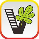 我要自学网官方手机版1.11.2 安卓客户端