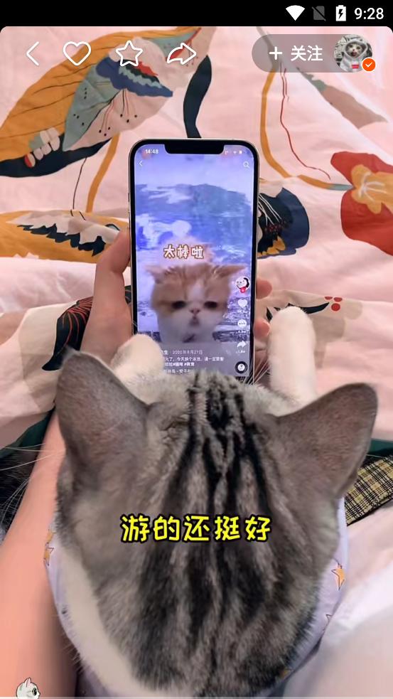 快手2025最新版官方正版v13.8.20.44179 安卓版 v4.3.2