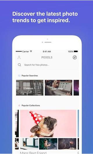 Pexels安卓中文版