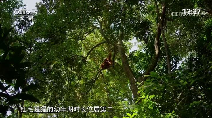 宝盒爱看app最新版v250116 安卓版 v3.5.2