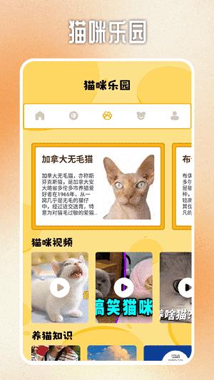 人猫交流翻译器软件 v5.1.4