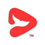 锦书在线2.32.52.10006 安卓最新版