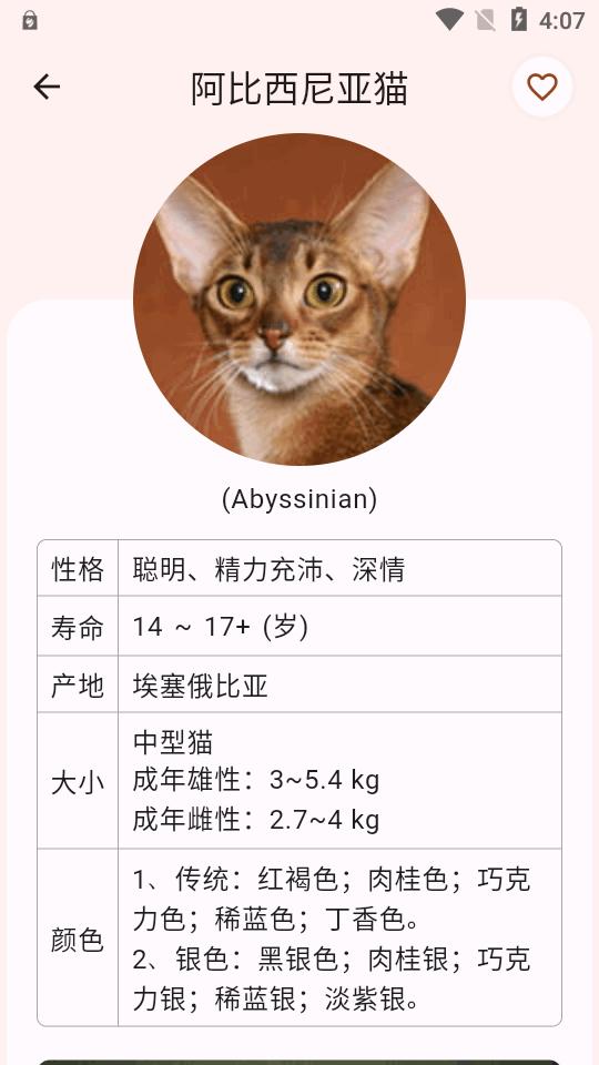 猫品种大全app最新版v1.0.6 手机免费版 v6.2.3
