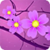 樱花浪漫动态壁纸