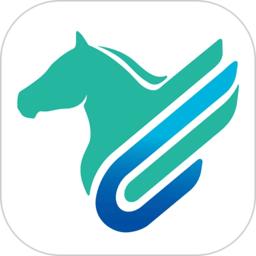 蒙速办养老资格认证