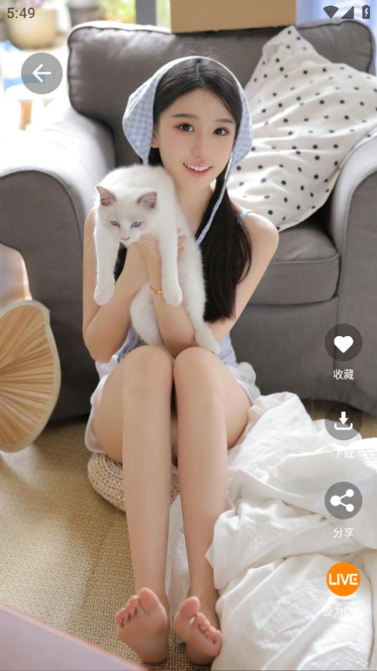 好看手机壁纸app手机安卓版1.0.0官方最新版 v4.2.4