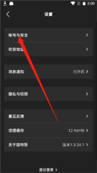 路斯特drivemanager