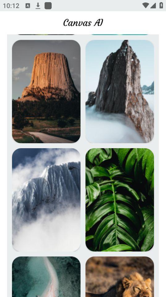 Canvas AI绘图app官方安卓版1.1.7最新版 v4.5.4