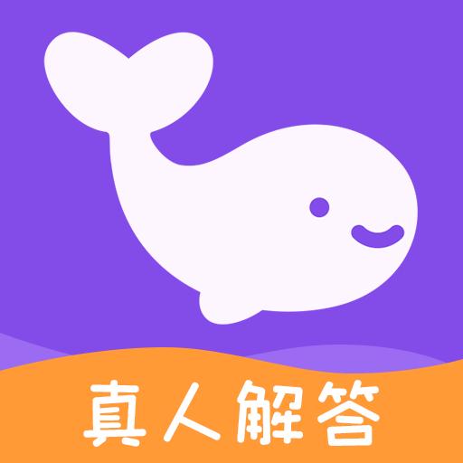 准准塔罗牌软件2.2.6 官方版