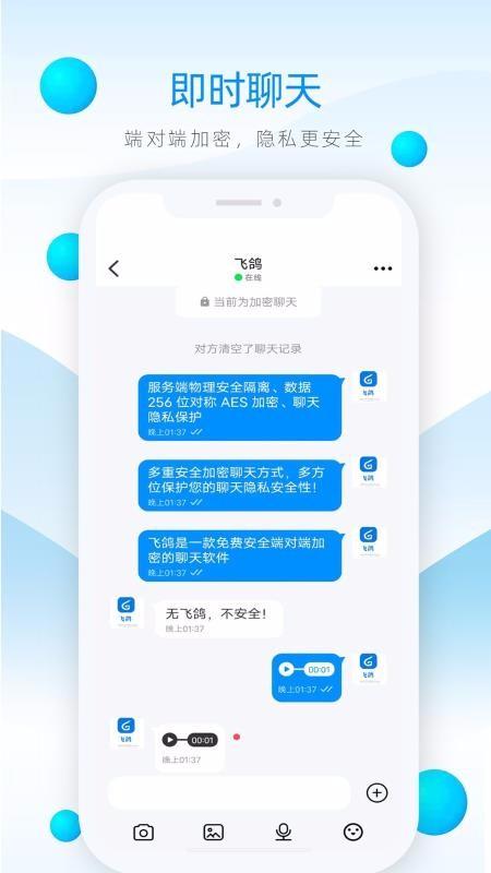 飞鸽快讯