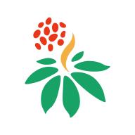 三七通app2.8.0 安卓版