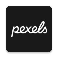 Pexels视频素材app最新版v7.3.6 安卓中文版