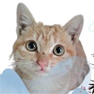 电工仿真实练软件v1.0 安卓手机版