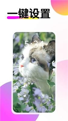 多美壁纸秀 v5.5.2