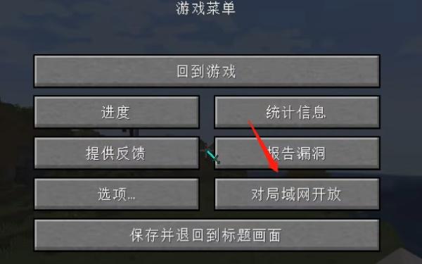 hmclpe启动器