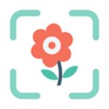 拍照扫描识花草