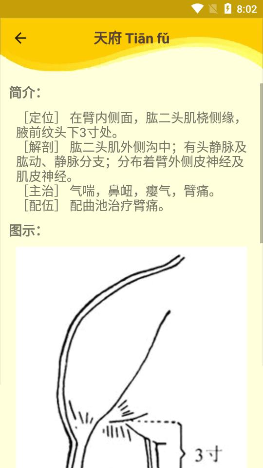 人体穴位图解app3.1.8 安卓最新版 v5.2.3