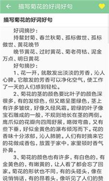 高考满分作文2024