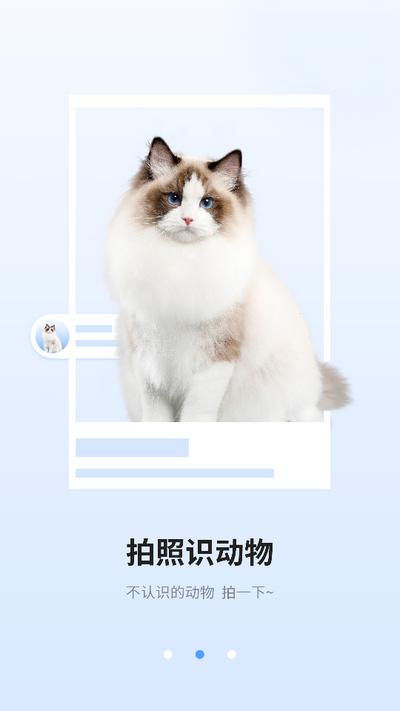 识图相机app1.0 安卓版 v3.0.2