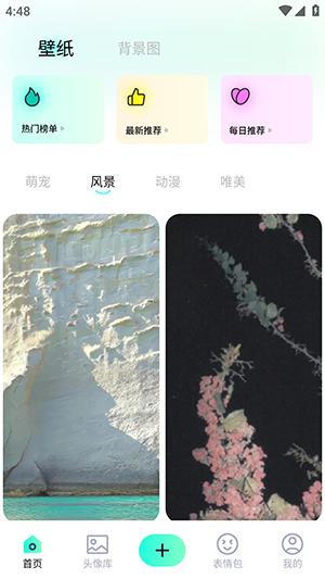 shaft壁纸