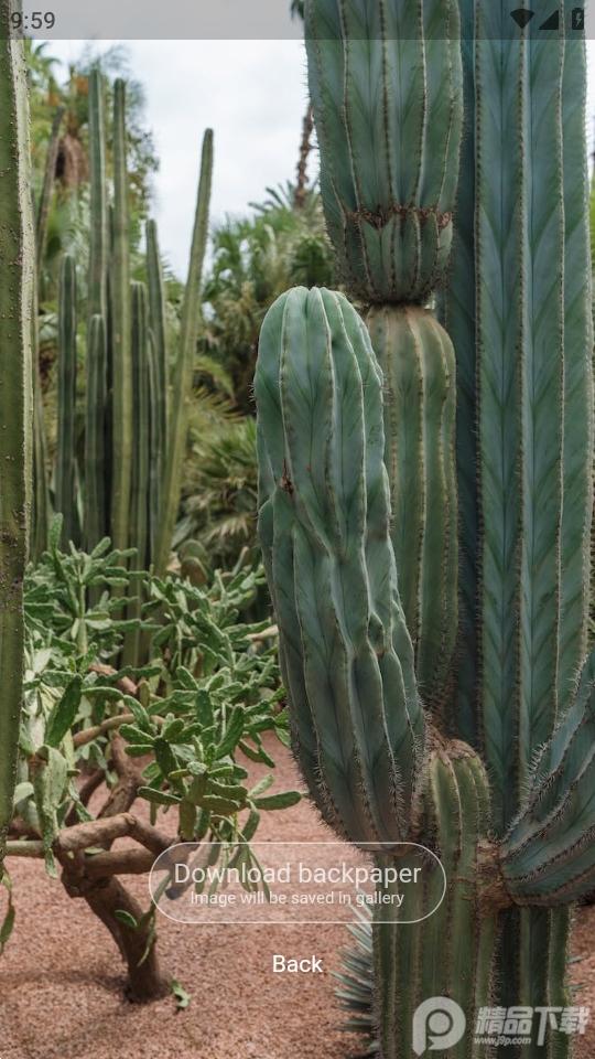 Backpaper壁纸软件官方版2.0.0最新版 v5.4.2