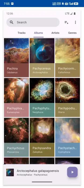 Phocid本地音乐播放器v20250208 最新版 v3.3.4