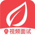 青云网聘app
